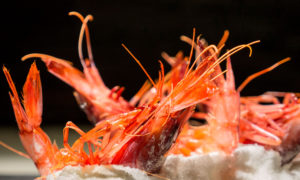 Restaurante Koy Hermitage | Alta cocina japonesa en Andorra