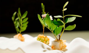 Restaurante Koy Hermitage | Alta cocina japonesa en Andorra